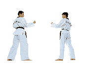 rheel.gif (14081 bytes)